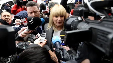 DECIZIA judecătorilor privind revizuirea CONDAMNĂRII Elenei Udrea. Fostul ministru, la cea de-a opta cerere. Doi magistrați au făcut opinie separată