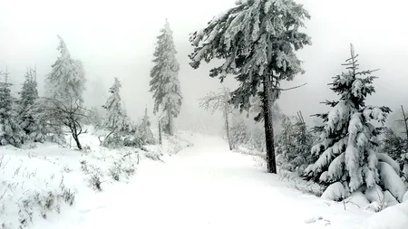 Traseele montane din Bucegi, închise de marți din cauza zăpezii și viscolului