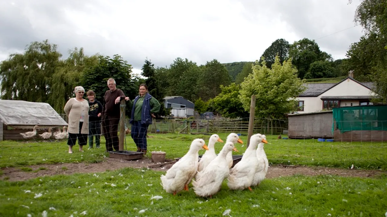 România ar putea pierde anul viitor fonduri UE de 1,26 mld. euro pentru competitivitate economică