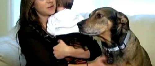 Un câine luat dintr-un adăpost a salvat de la moarte fetița de doar 9 luni a stăpânilor săi. VIDEO