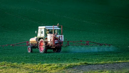 Câte PESTICIDE conțin fructele pe care le consumăm / De ce este cartoful cea mai periculoasă legumă