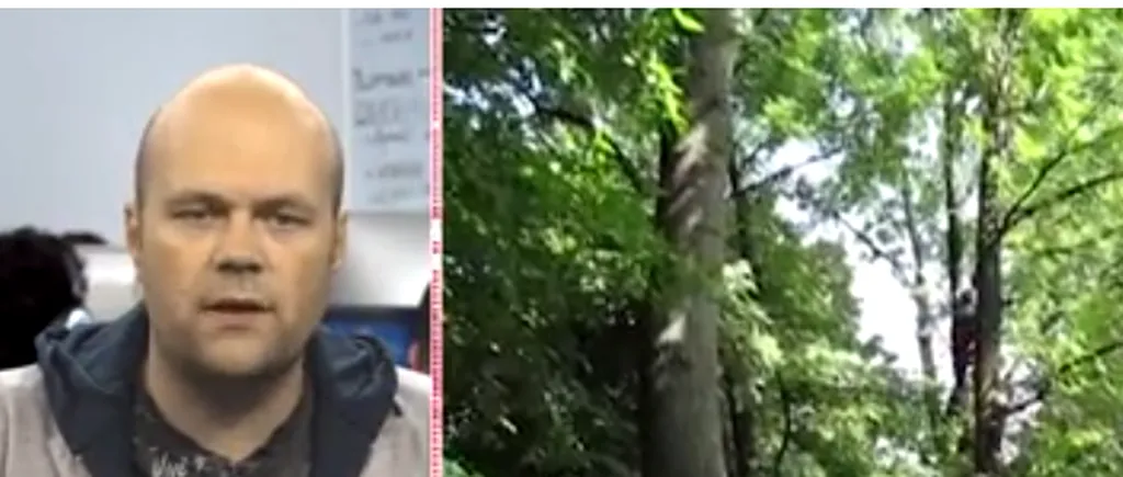 Doi copii din Bârlad au ajuns la spital, după ce au fost loviți de crengile căzute în timpul curățării copacilor