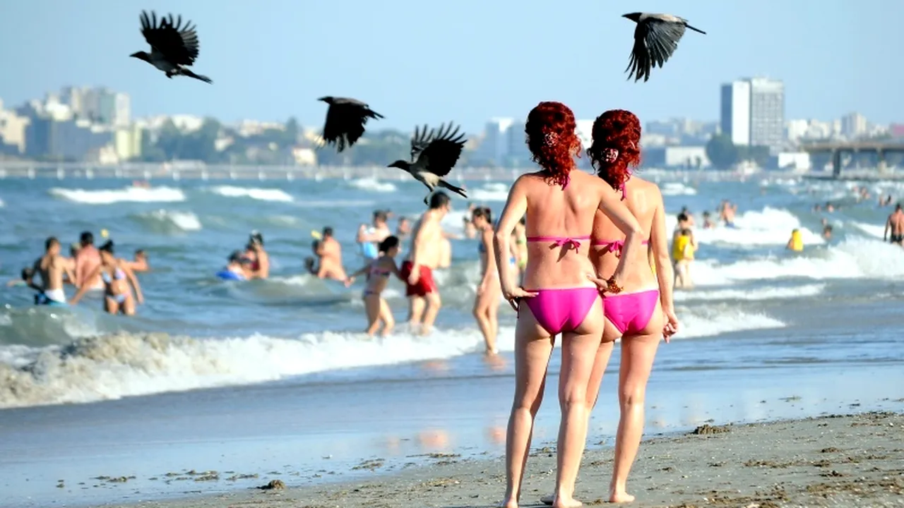 Proiect de 170 milioane euro pentru protecția țărmului românesc al Mării Negre