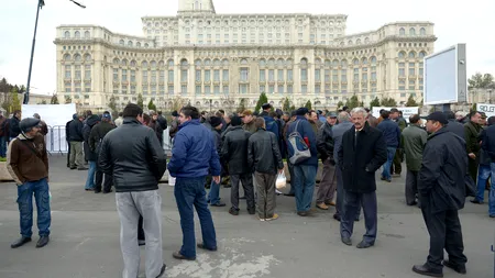 Silvicultorii cer convocarea CSAT pentru analizarea problemelor pe care le au privind paza pădurilor