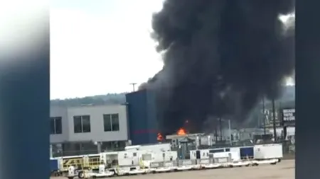 Șapte persoane au murit în urma prăbușirii unui avion militar din cel de-al Doilea Război Mondial în SUA - VIDEO