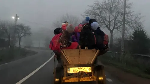 Mai mulți copii din Bacău au fost fotografiați în timp ce erau duși la școală cu căruța: Singuranța lor nu era deloc asigurată / Asta e opțiunea părinților