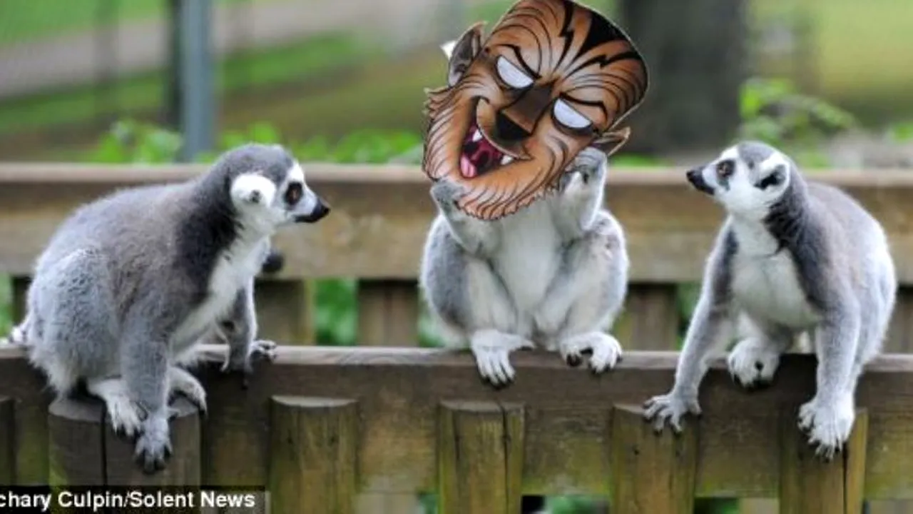 GALERIE FOTO. Joaca de-a Halloween. Pe cine au 