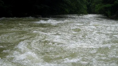 O fată de 17 ani, dintr-un centru de plasament, s-a aruncat în pârâul Trebeș