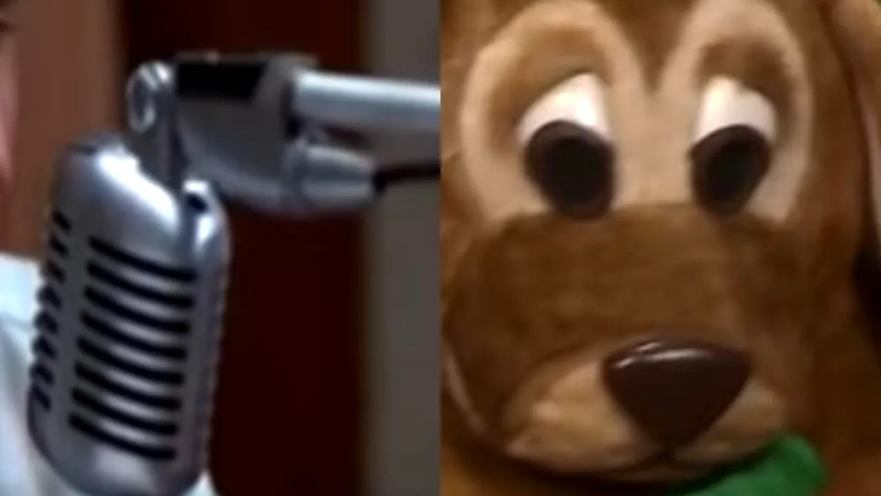 Interviu de angajare la Radio Oltenia: „Cine ține banii în casă?