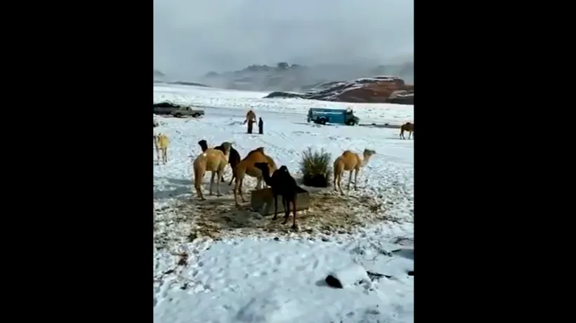 Fenomen meteo extrem în Arabia Saudită. Nisipul deșertului, acoperit cu un strat de zăpadă VIDEO 