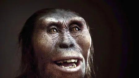 GOOGLE aniversează printr-un doodle 41 de ani de la găsirea scheletului „Lucy