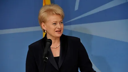 Președintele lituanian: Nimeni nu va putea ajuta sau distruge România din exterior