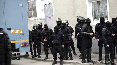 51 de percheziții în Capitală, într-un dosar de trafic de droguri ce vizează membri ai clanului Ștoacă
