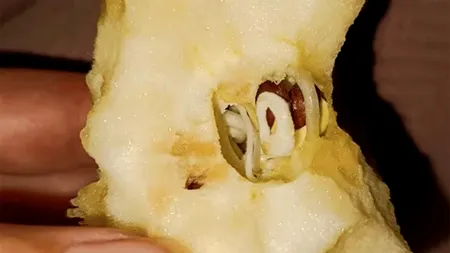 Descoperire BIZARĂ facută de o femeie într-un măr cumpărat din supermarket: 
