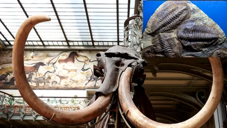 Tehnologia modernă dezvăluie noi informații ULUITOARE despre trilobiți și mamuții lânoși. Descoperirea care ar putea revoluționa știința