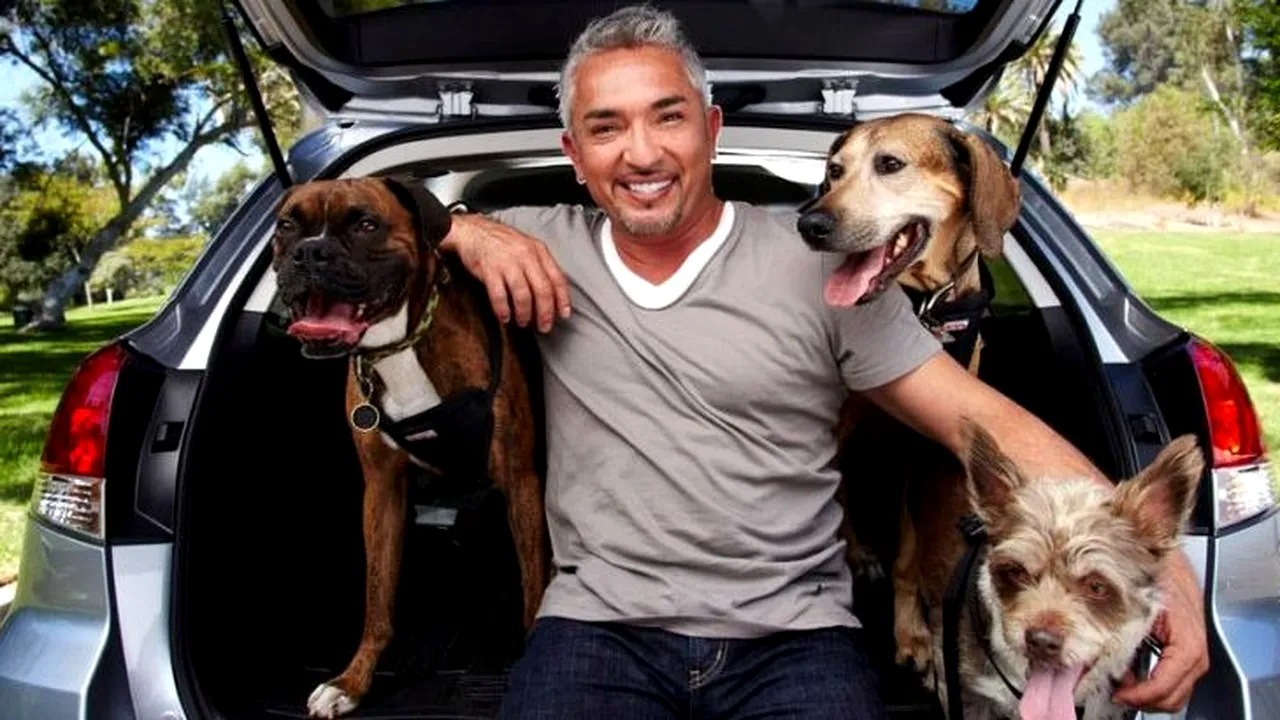 SECRETELE celui mai iubit dresor din lume. Dezvăluirile lui CESAR MILLAN provoacă un scandal imens