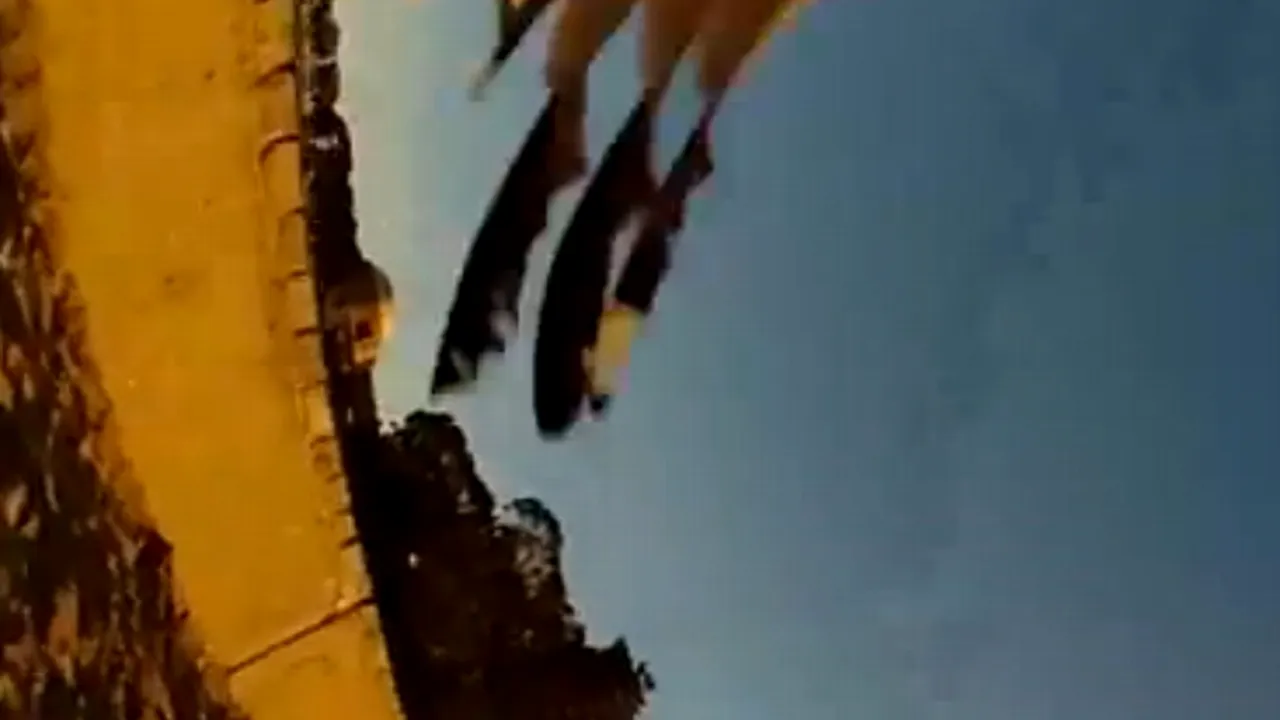 VIDEO: Filmulețul 