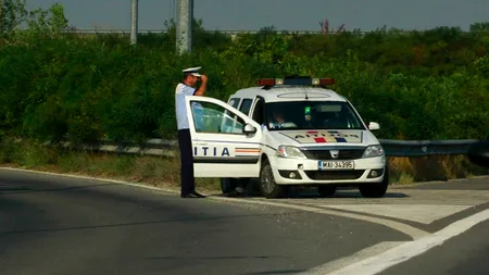Viteza 