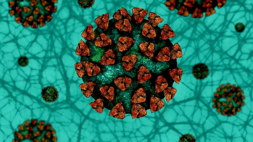Virusul care provoacă tulpina SARS-CoV-2 acumulează mutații genetice. Aproape toate cazurile din SUA, din primul val al pandemiei, au fost cauzate de tulpina contagioasă