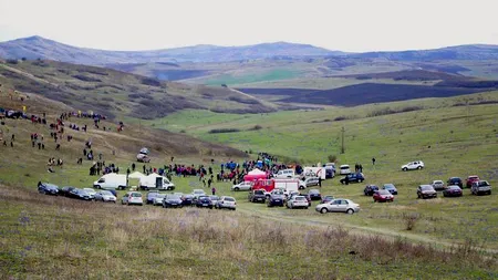 Sute de tineri au plantat 11 hectare de pădure în doar trei ore. 