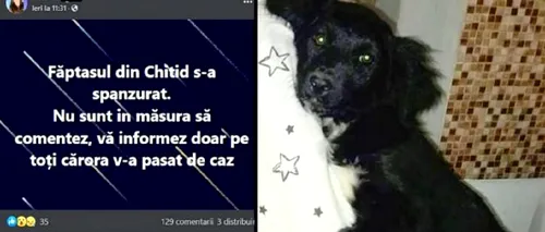 Un bărbat din Hunedoara, care omorâse un câine din comuna în care locuia, s-a spânzurat. Era anchetat, dar altceva l-ar fi determinat să recurgă la acest gest