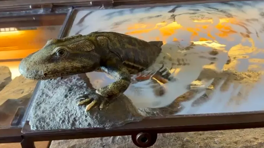 Misterul originii vieții: Potrivit unui studiu, animalele vertebrate ar fi apărut cu 200 de milioane de ani mai devreme decât se credea