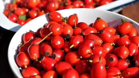 Fructele din care se fac cele mai gustoase gemuri. De unde se culeg și ce proprietăți au pentru sănătate