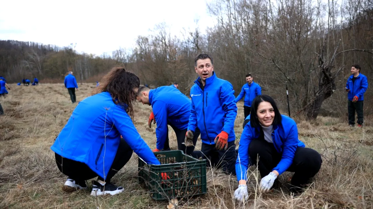 Peste 100 de voluntari ai Fundației Țiriac și Țiriac Auto și-au unit forțele în cadrul programului „Plantăm fapte bune în România”