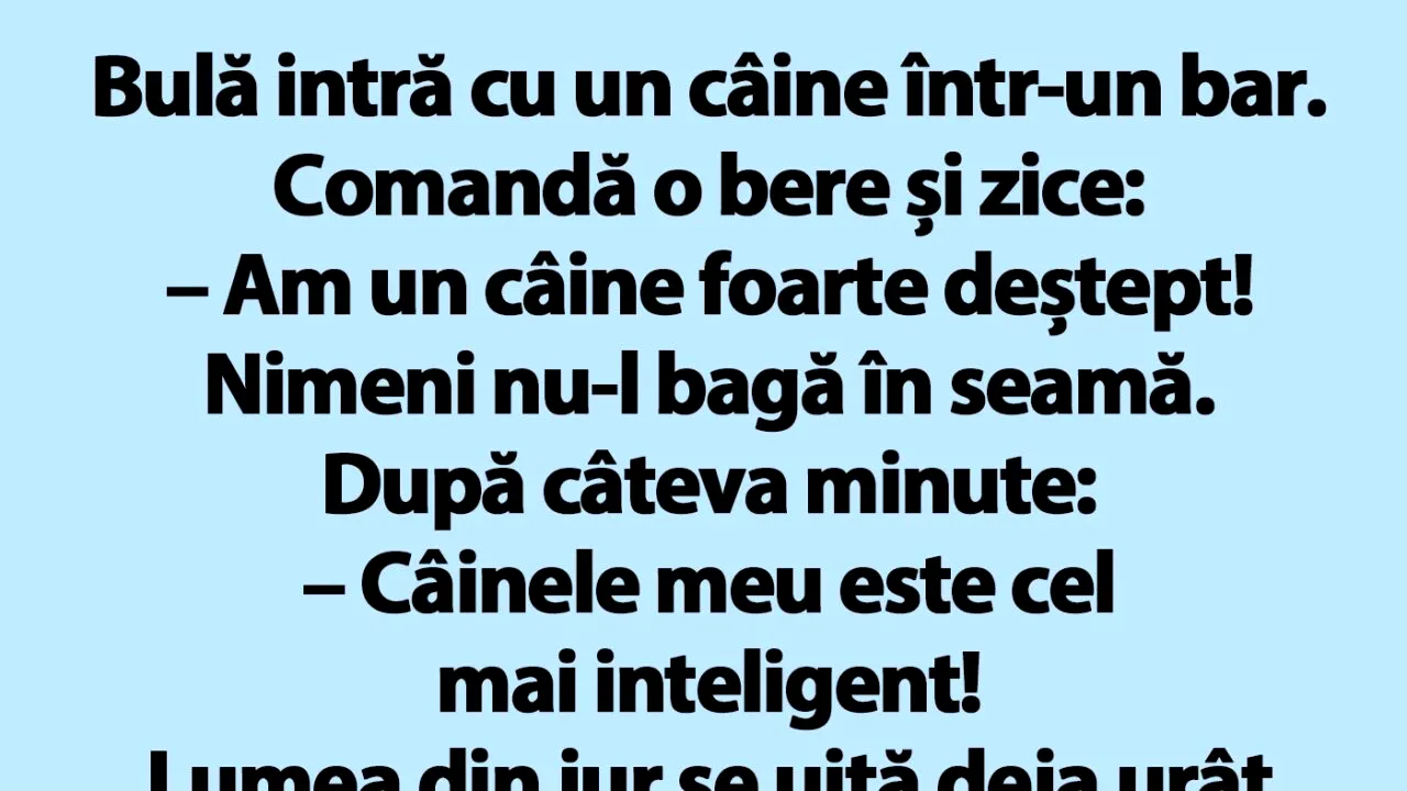 BANC | Bulă intră cu un câine într-un bar