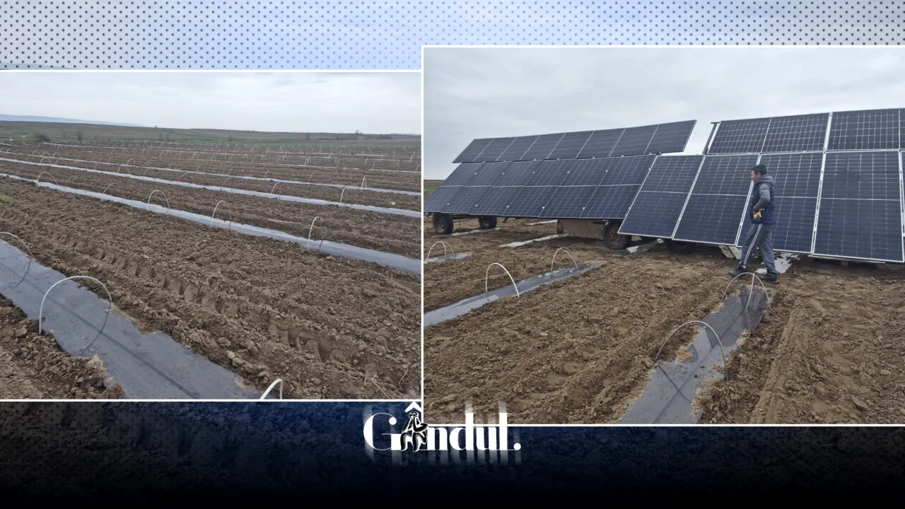 Soluție pentru a înlocui motopompele cu benzină și motorină. Fermierii trec la panouri solare în câmpurile de pepeni