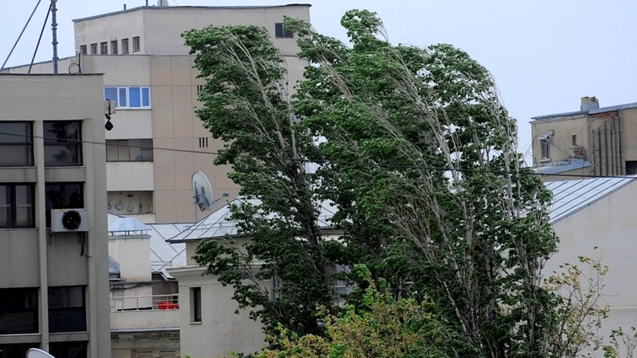 Străzi inundate de o ploaie torențială și mașini avariate de copaci doborâți de furtună, la Iași