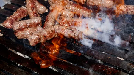 AMENZI drastice pentru grătare și muzică tare în Delta Dunării: 