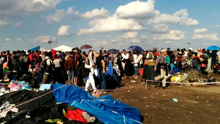 Un polițist a fost înjunghiat la cel mai mare centru de azil din Danemarca