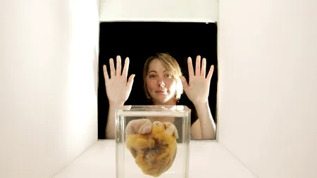 Cum influențează grupa sanguină apariția bolilor de inimă