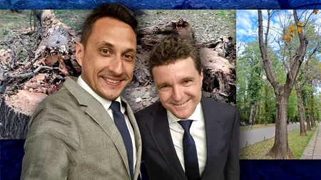 FAKE NEWS întreținut de oamenii lui Nicușor Dan despre stejarii tăiați din Herăstrău. ADEVĂRUL despre arborii compromiși din celebra grădină urbană