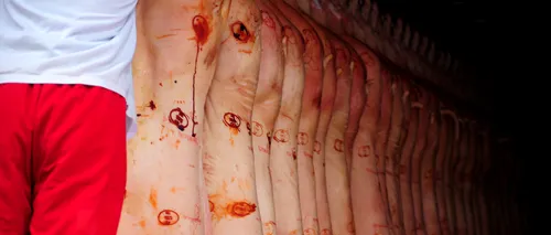 Majorări semnificative la exporturile de carne de porc ale UE. Este vorba de creșteri de sute de milioane de euro!