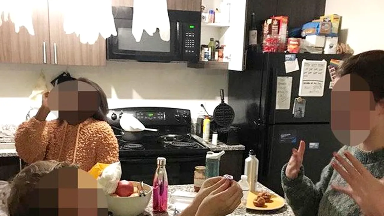 „Mi-am vândut locuința pentru a-mi cumpăra inelul de logodnă perfect, dar oamenii râd de el