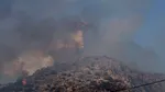 Infern pe insula Salamina din Grecia. Sute de oameni au fost evacuați de urgență pe mare după izbucnirea a două incendii de vegetație