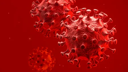 CORONAVIRUS. 13 noi decese cauzate de COVID-19 în România. 1.094 de români au murit în total
