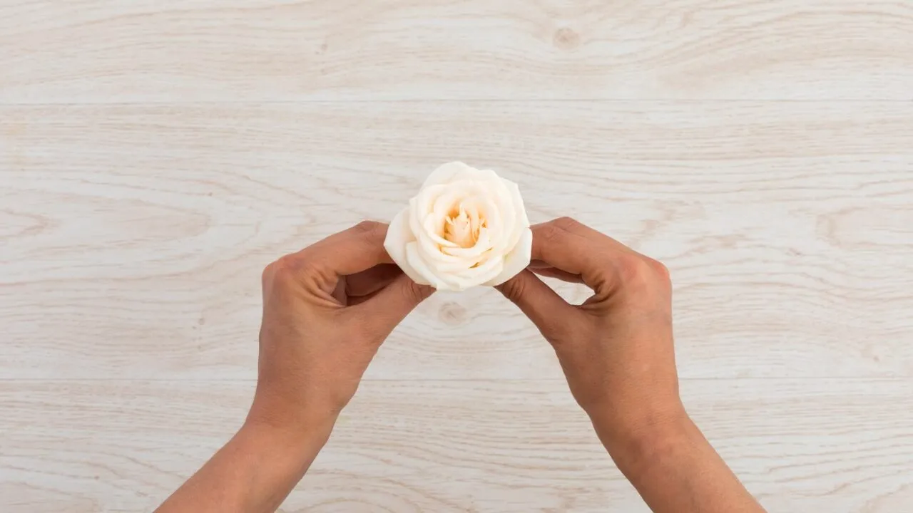 Cum poți să cureți energiile NEGATIVE din casă, astfel încât să atragi pacea, armonia și bunăstarea în locuința ta