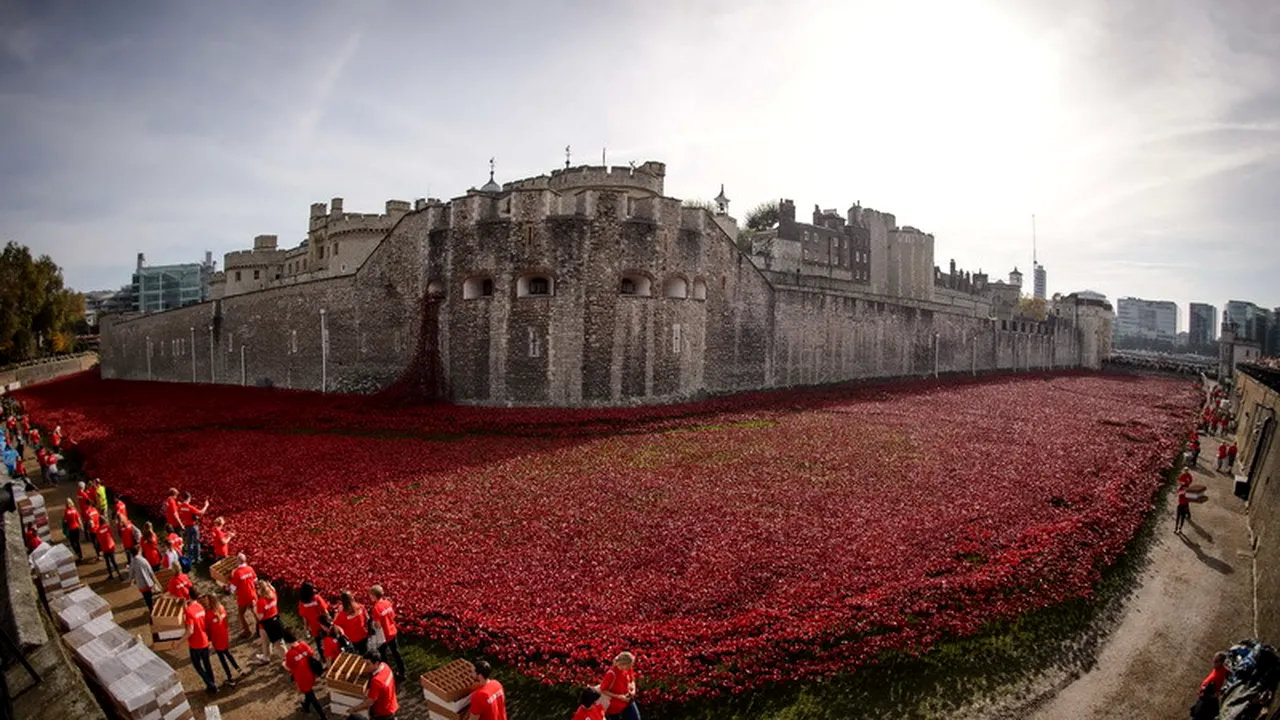 O instalație comemorativă, formată din sute de mii de maci roșii, principala atracție a Londrei