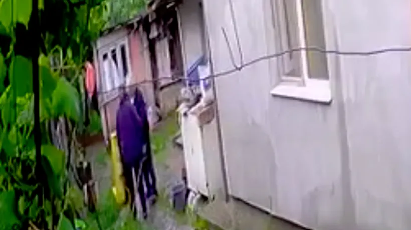 #cugandullaanimale. Imagini revoltătoare: Un cuplu de bătrâni din Bacău a ucis un cățelus cu securea, chiar în curtea proprietarului - VIDEO