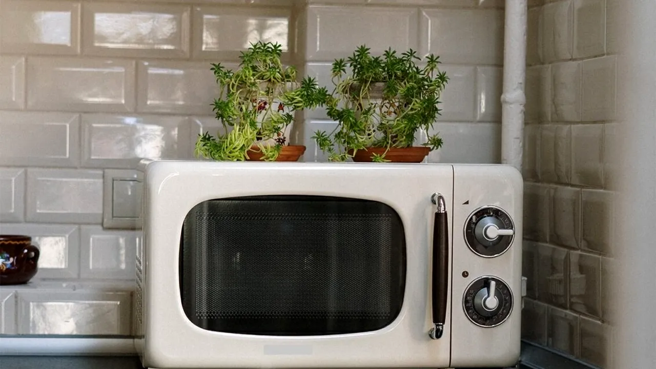 PERICOLUL la care te expui atunci când încălzești mâncarea în cuptorul cu microunde