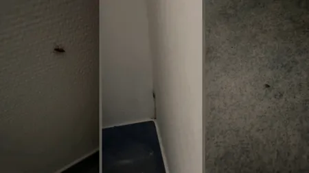 Gândaci filmați în secția de Pediatrie a Spitalului Județean de Urgență Slatina. Mama unui copil internat într-un salon a făcut publice imaginile