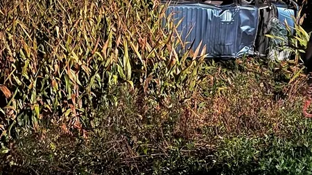 Un mort și trei răniți, după ce un microbuz cu români A CĂZUT într-o prăpastie, în Italia