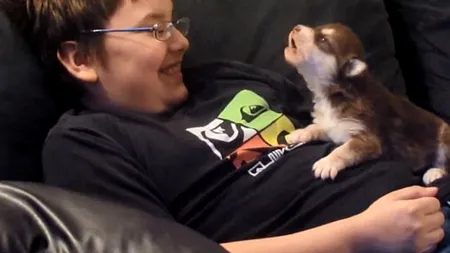 VIDEO. Cum învață un pui de husky să urle