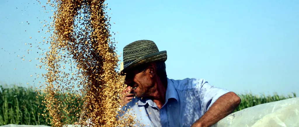 România, în topul celor mai mari exportatori de grâu în Egipt