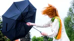 ANM a emis cod galben de VÂNT puternic pentru 11 județe. Cât timp este valabilă avertizarea meteo