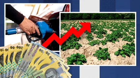 Scumpirea carburanților lovește în plin agricultura românească. Fermier: 