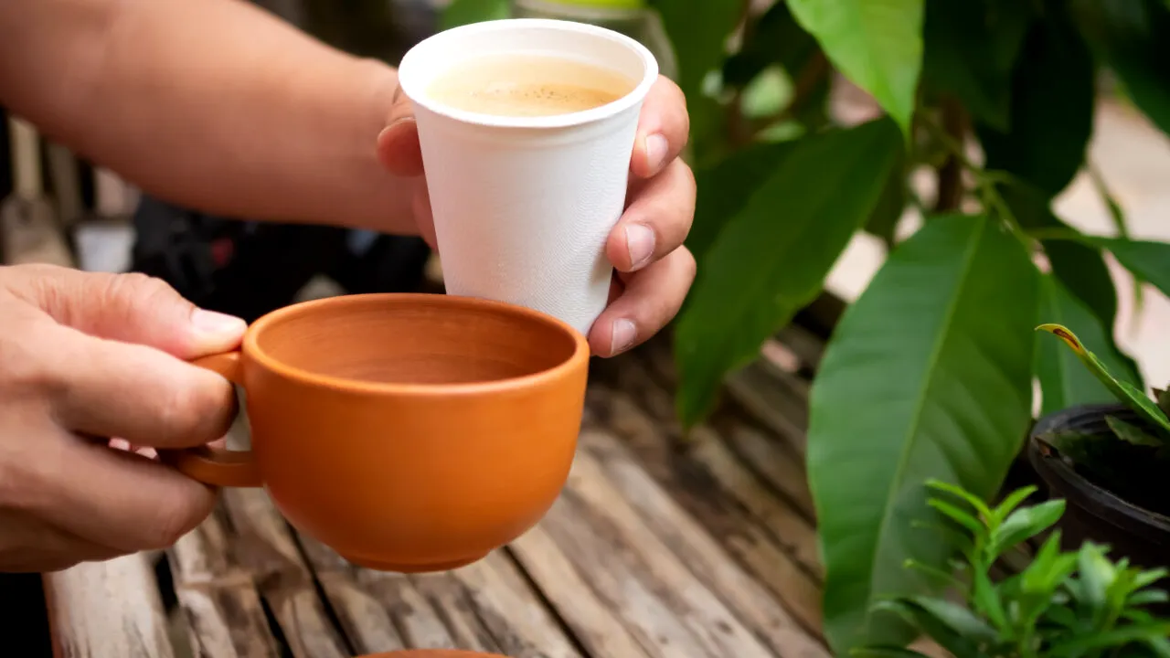 Cum te ajută zațul de cafea în grădină. Are multiple întrebuințări benefice